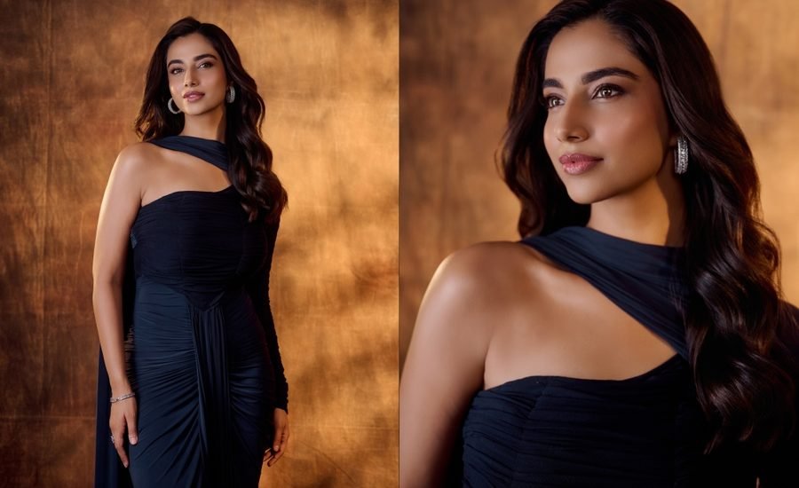 Meenakshi Chaudhary glamorous photos