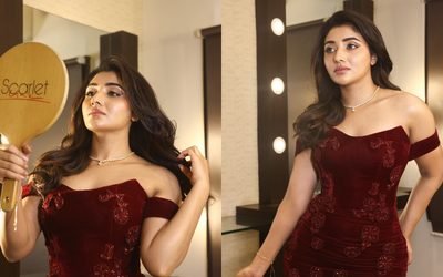 Mirnaa Menon glamorous photos